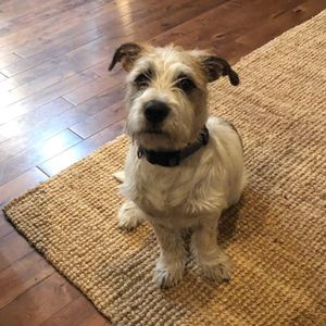 Meet your Posher, Lindsay